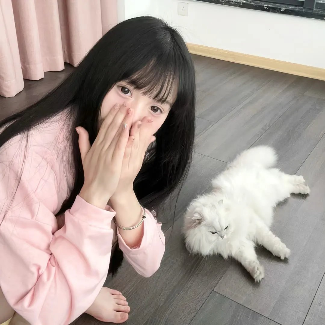 模特魅影