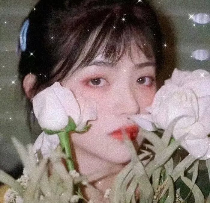 幕府风云